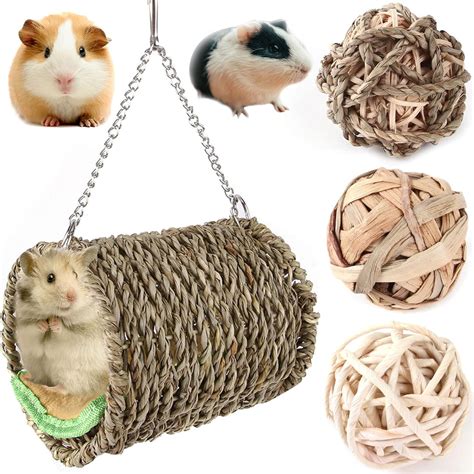 hamster gnawing toys